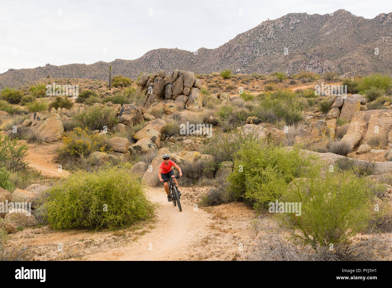 Mountainbiken, McDowell Mountain Regional Park, in der Nähe von Fountain Hills und östlich von Phoenix, Arizona. Stockfoto