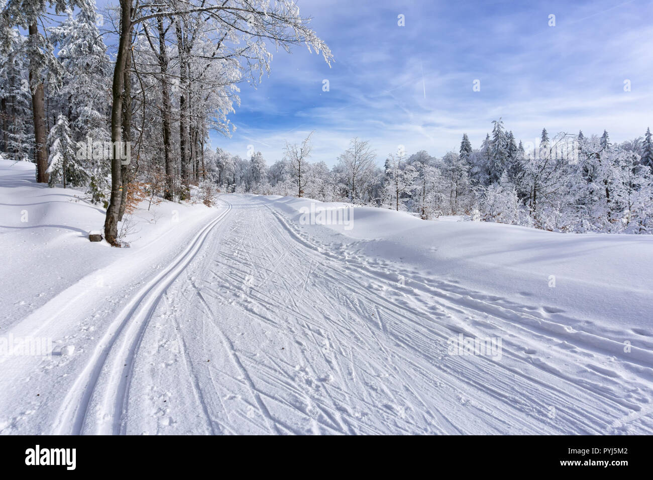 Winter Berglandschaft. Trail zum Langlaufen auf einem Berg Straße, Bäume, bedeckt mit Raureif und Schnee, blauer Himmel mit weißen Wolken. Stockfoto