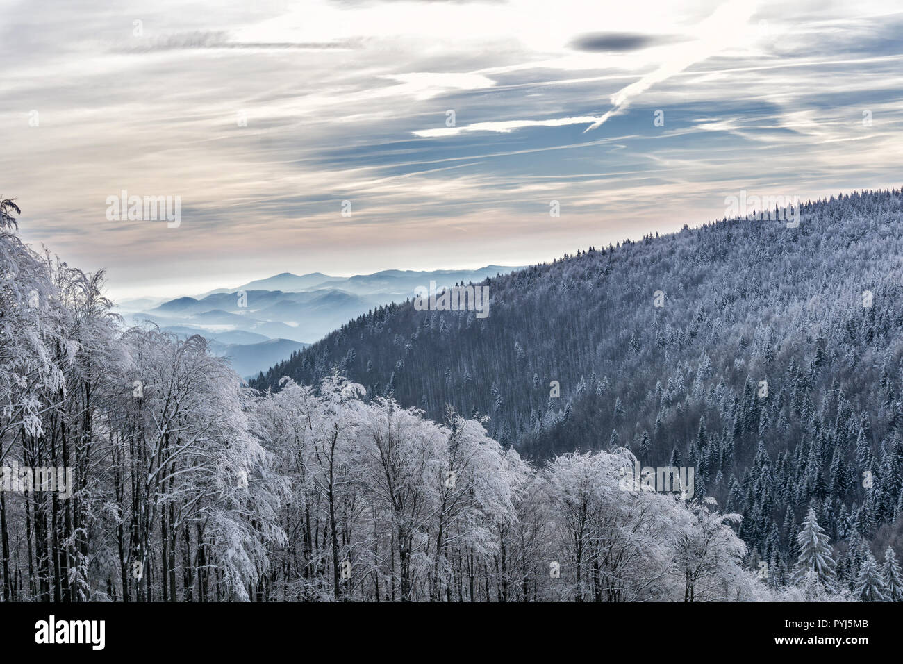 Winter Berge Landschaft mit Bäumen mit Frost und dramatische Wolkenhimmel abgedeckt. Stockfoto