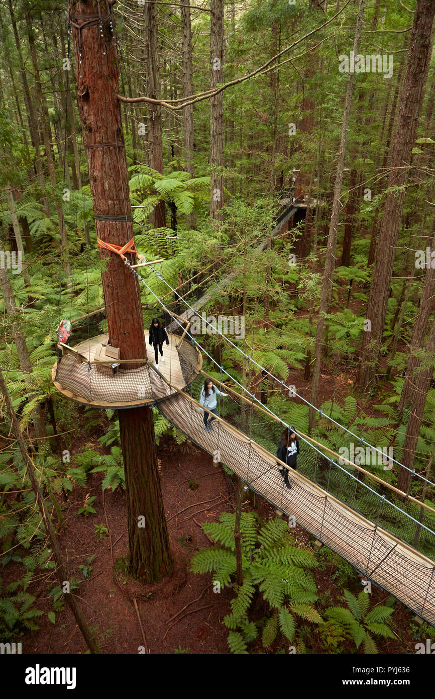 Touristen auf Redwoods Treewalk im Redwoods (Whakarewarewa Forest), Rotorua, North Island, Neuseeland Stockfoto