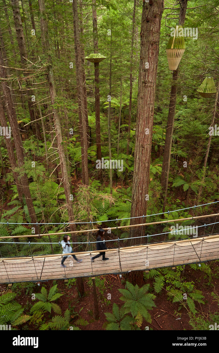 Touristen auf Redwoods Treewalk im Redwoods (Whakarewarewa Forest), Rotorua, North Island, Neuseeland Stockfoto