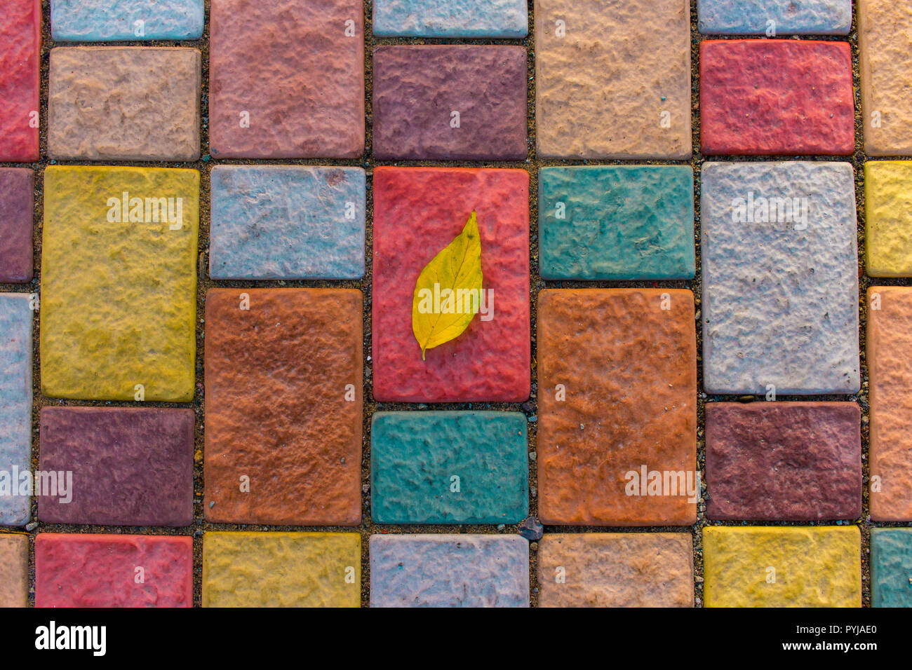Gelbe Blatt auf bunten Stein Ziegel, Ansicht von oben Herbst Komposition Konzept. Stockfoto