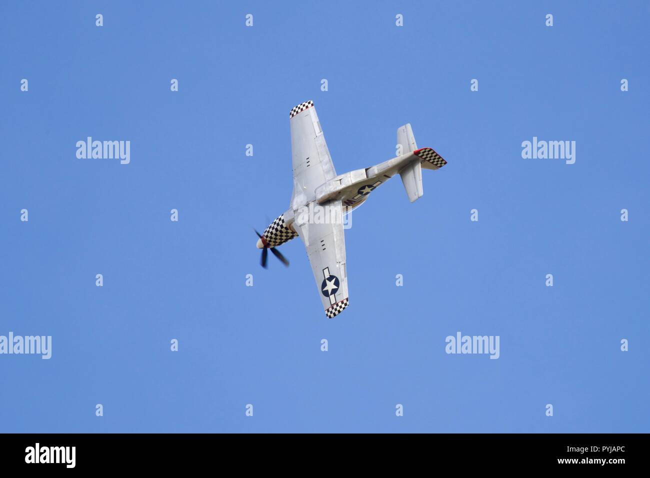 North American TF 51 D Mustang "Maria" (G-TFSI) fliegen bei Shuttleworth Race Day am 7. Oktober 2018 Stockfoto