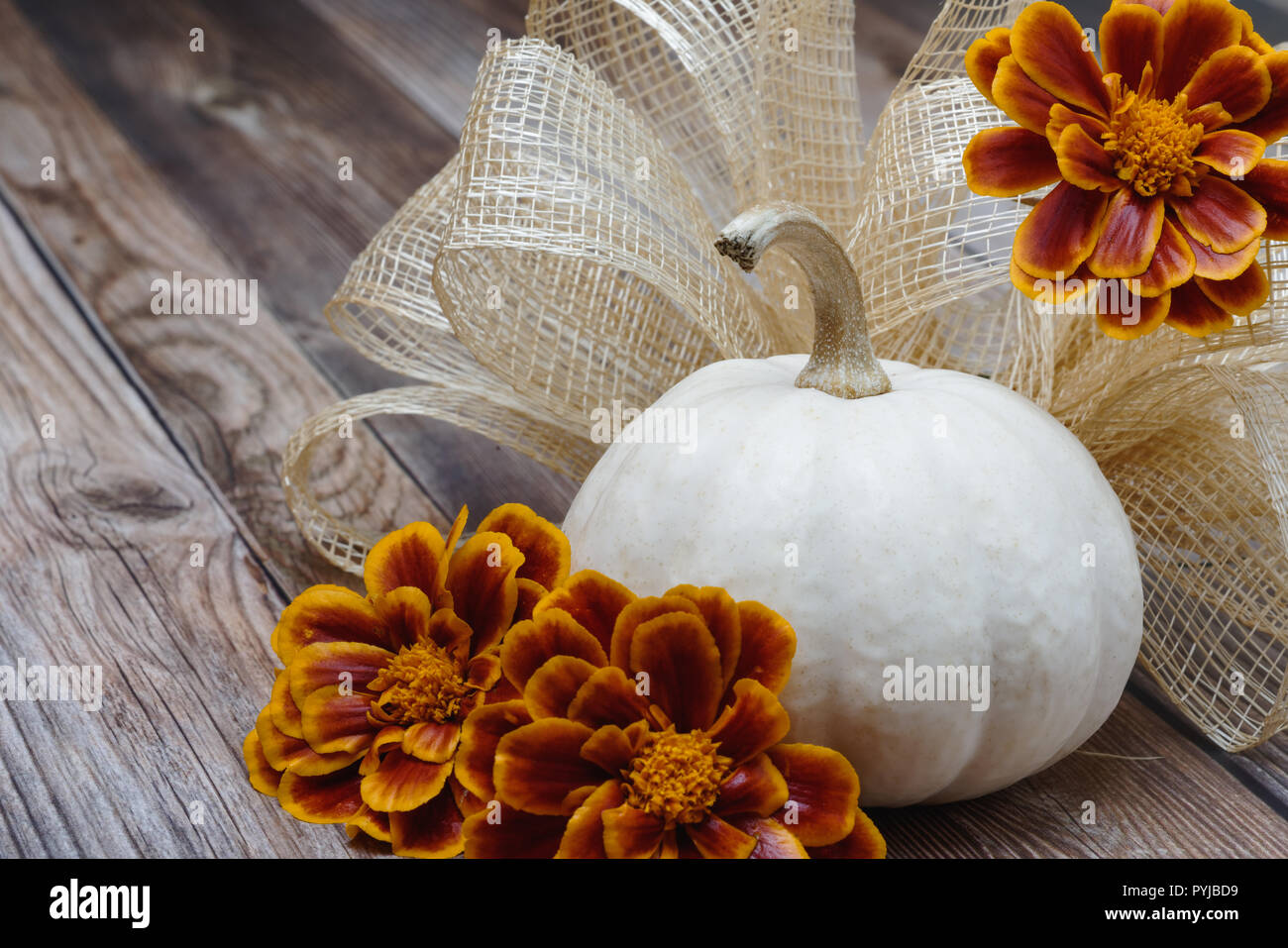 Kürbis Ringelblumen und Bug auf Holz Tisch Stockfoto