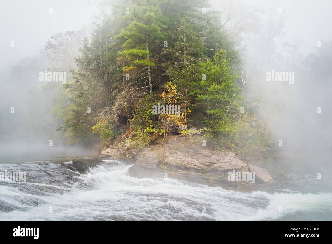 Eine turbulente Szene um einen Felsvorsprung mit Evergreens und ein einsames Ahorn greifen auf die letzte seiner Blätter im Herbst geschmückt entfaltet, die krassen Details Stockfoto