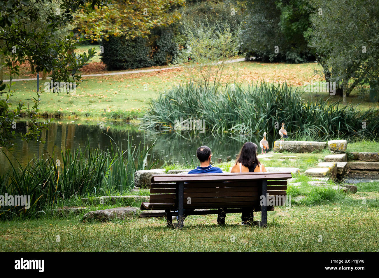 Rückseite des mittleren Alters Paar sitzen auf einer Bank im Park, vor einem Teich. Stockfoto