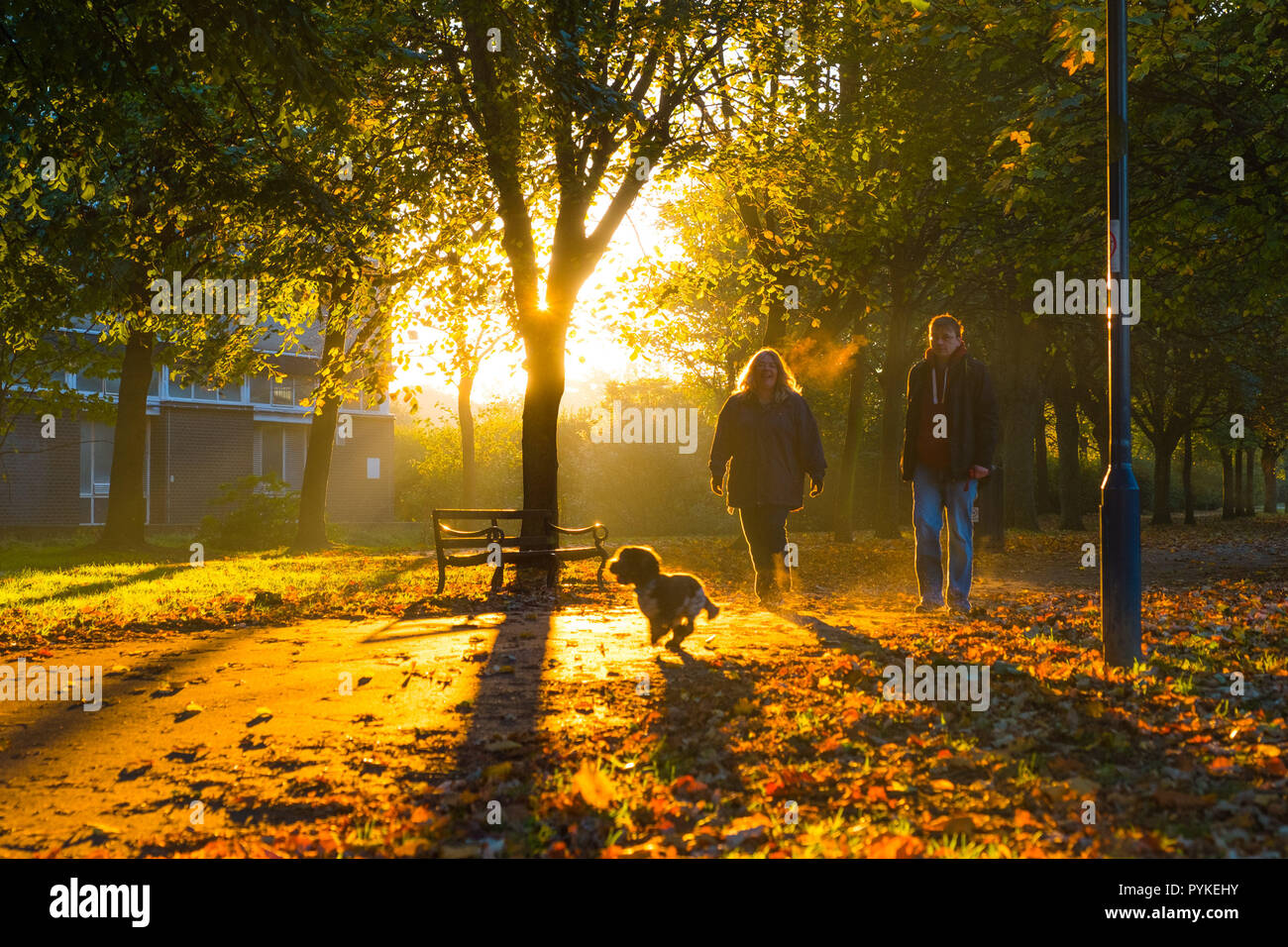 Aberystwyth Wales UK, 29/10/2018 UK Wetter: Leute, die mit ihrem Hund an der von Bäumen gesäumten Plas Crug Park in der Dämmerung auf einem kalten und frostigen Herbst morgen in Aberystwyth Wales, mit dem Sonnenlicht funkeln durch die bunten Blätter von den Bäumen. Photo Credit: Keith Morris/Alamy leben Nachrichten Stockfoto