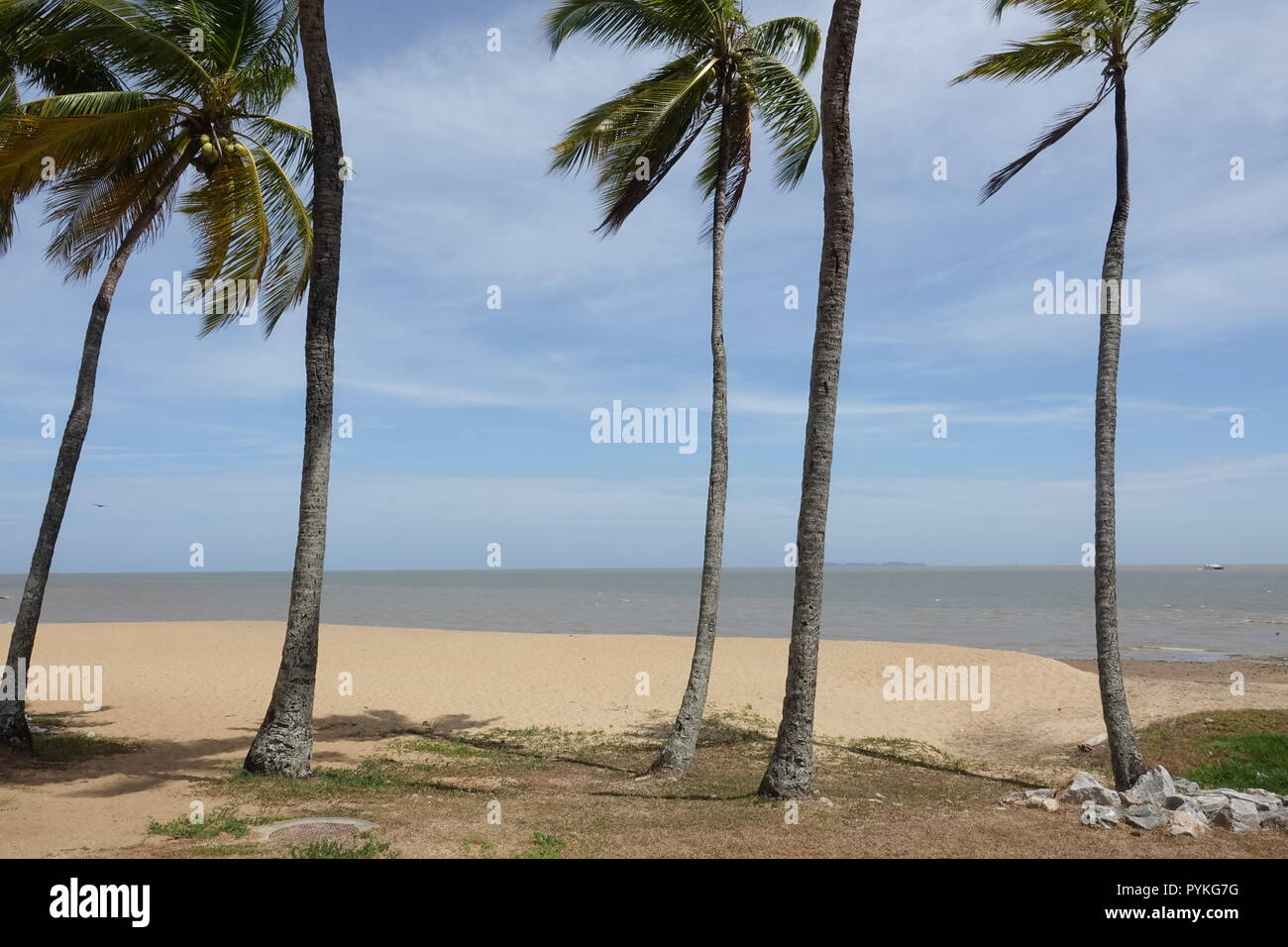 Korou, Frankreich. Okt, 2018 19. Palmen und Sand am Strand von Kourou in Französisch-Guayana gesehen werden. Credit: Janne Kieselbach/dpa/Alamy leben Nachrichten Stockfoto