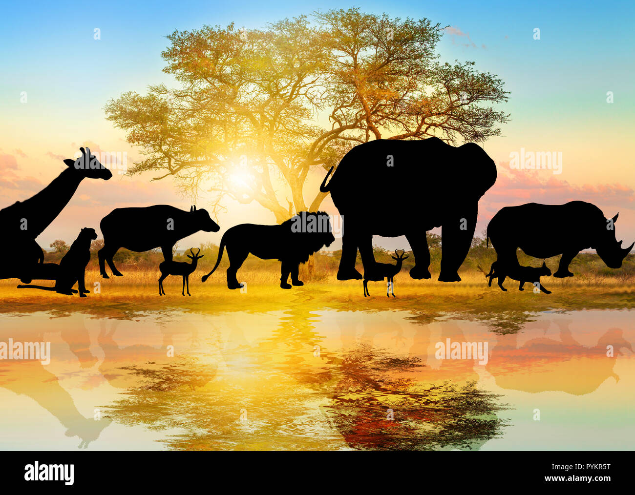 Silhouette der wilden Tiere auf afrikanische Akazie Hintergrund bei Sonnenaufgang Licht gesäumt auf einem Teich wider. Serengeti Wildlife Area in Tansania, Afrika. African Safari Szene Savannenlandschaft. Hintergrundbild Stockfoto