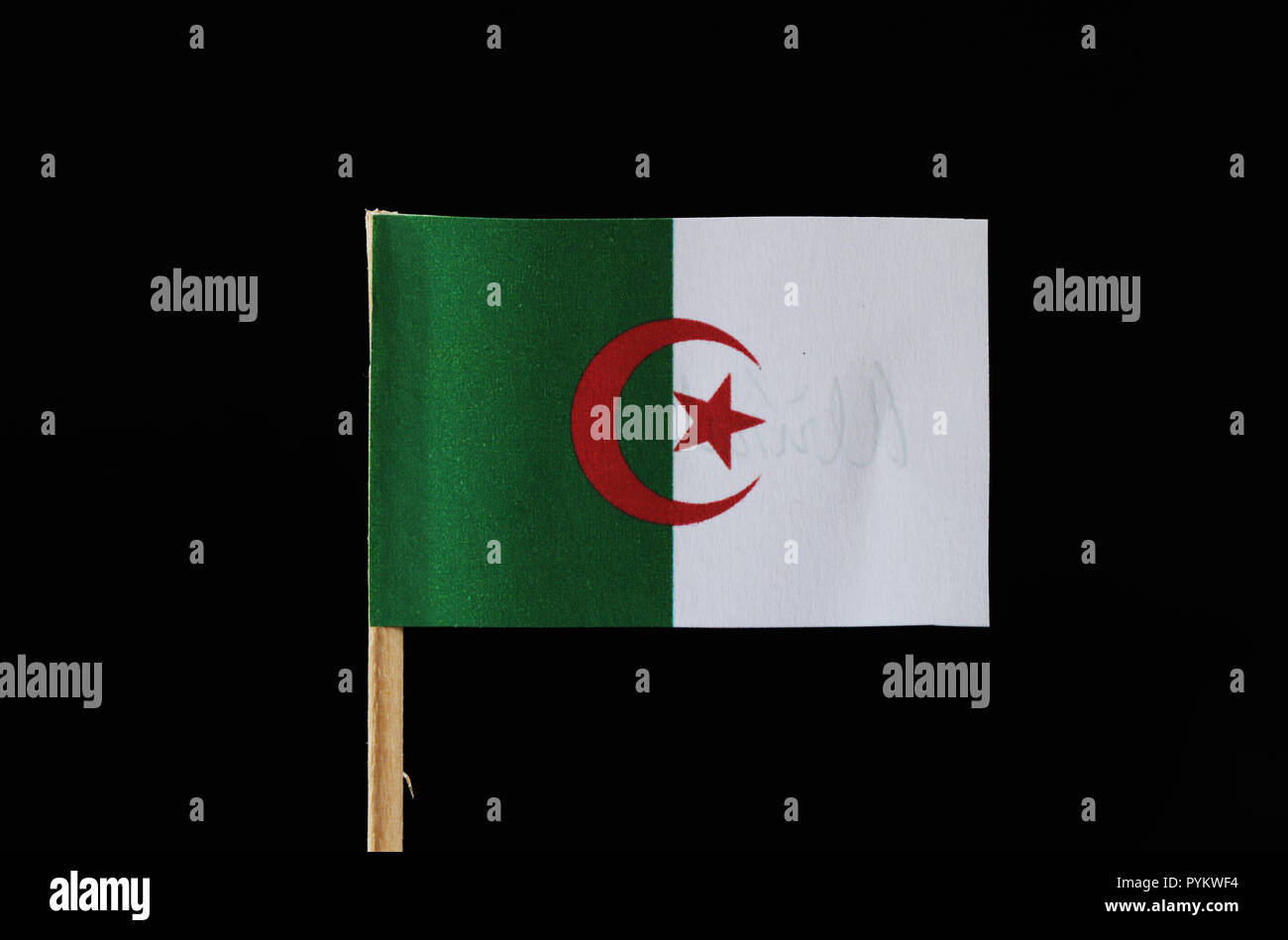 Ein original und offizielle Flagge Algerien auf Zahnstocher auf schwarzem Hintergrund. Besteht aus zwei gleich große vertikale Balken, grün und weiß mit einem roten Stern und cre Stockfoto