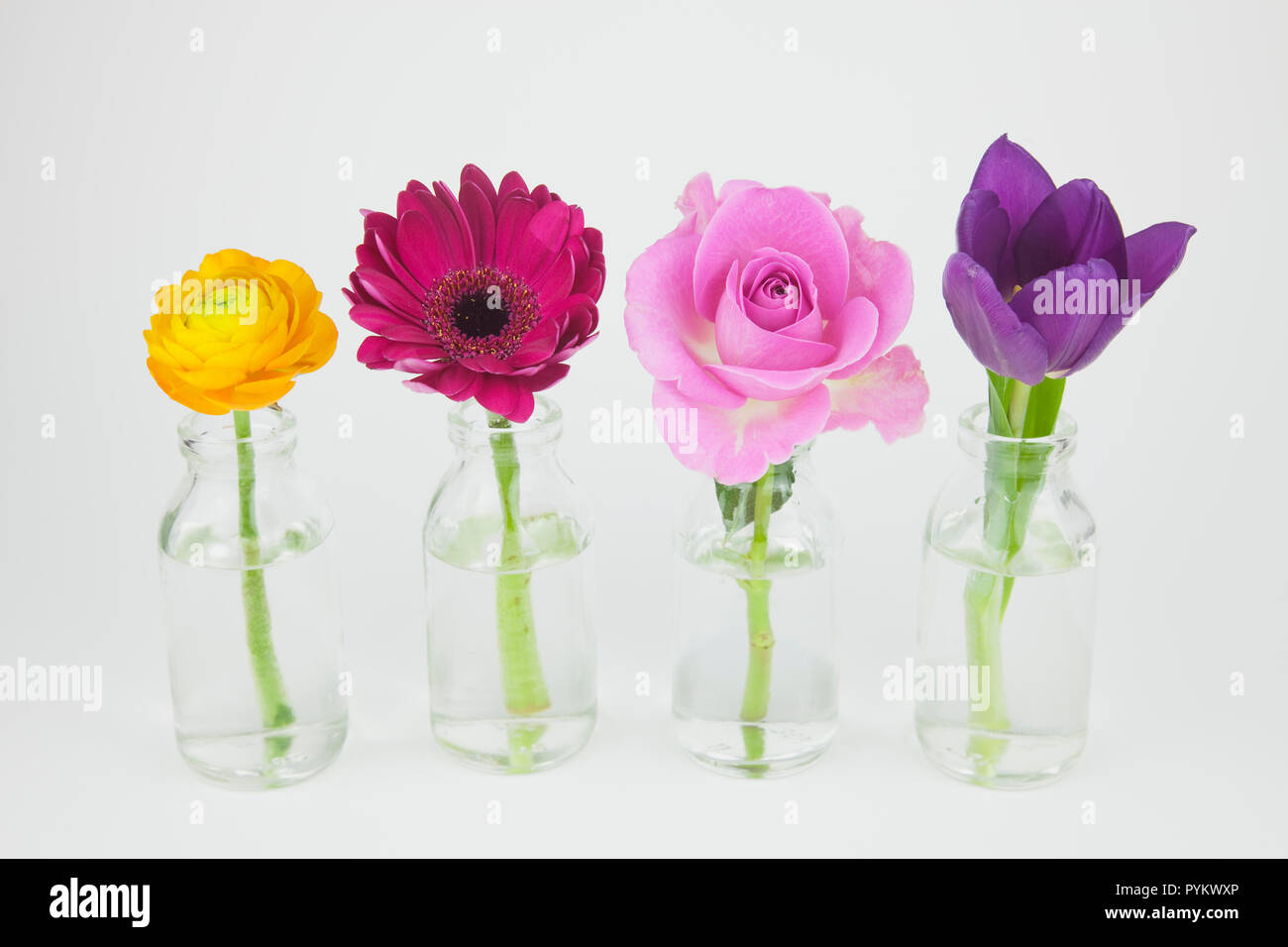 Studio shot von Schnittblumen in der Glasflasche. Stockfoto