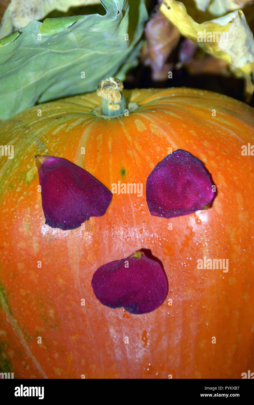 Halloween Gesicht ab Herbst die Ernte - orange Kürbis und Rosenblättern. Stockfoto