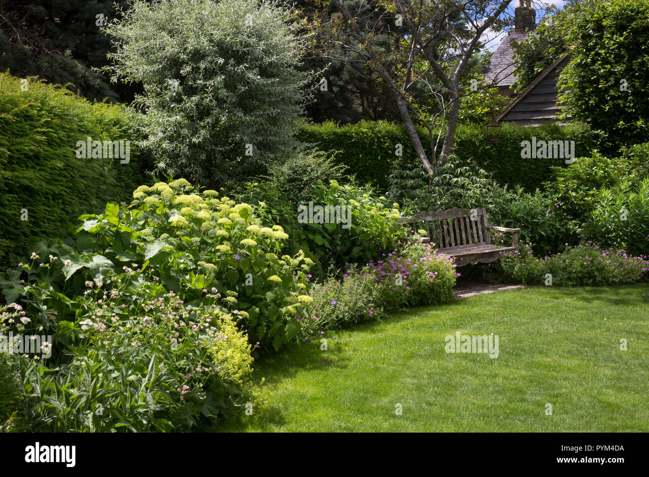 Sommer Boarder im Englischen Garten mit Holzbank, England, Europa Stockfoto