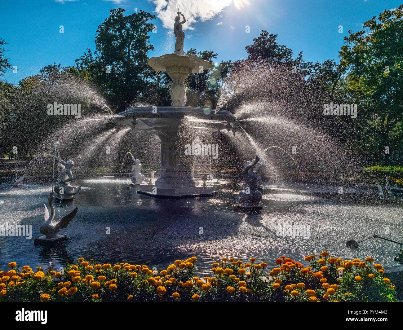 Die extravaganten Springbrunnen in Forsyth Park im Herzen von Savannah Georgia USA Stockfoto