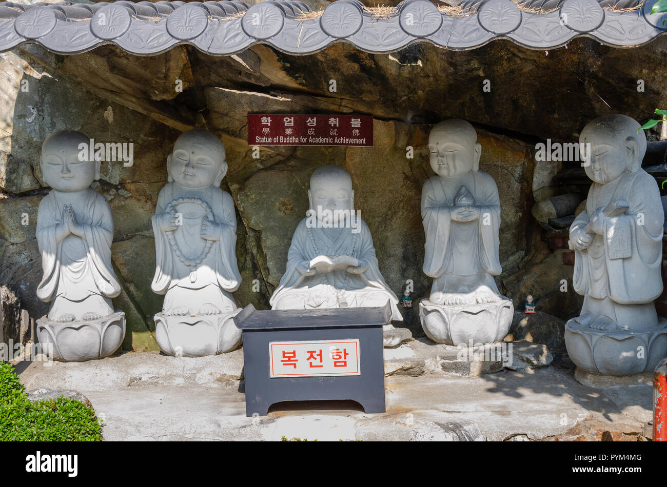Statue von Buddha für wissenschaftliche Leistungen auf haedong Yonggungsa Tempel in Busan, Südkorea. Stockfoto