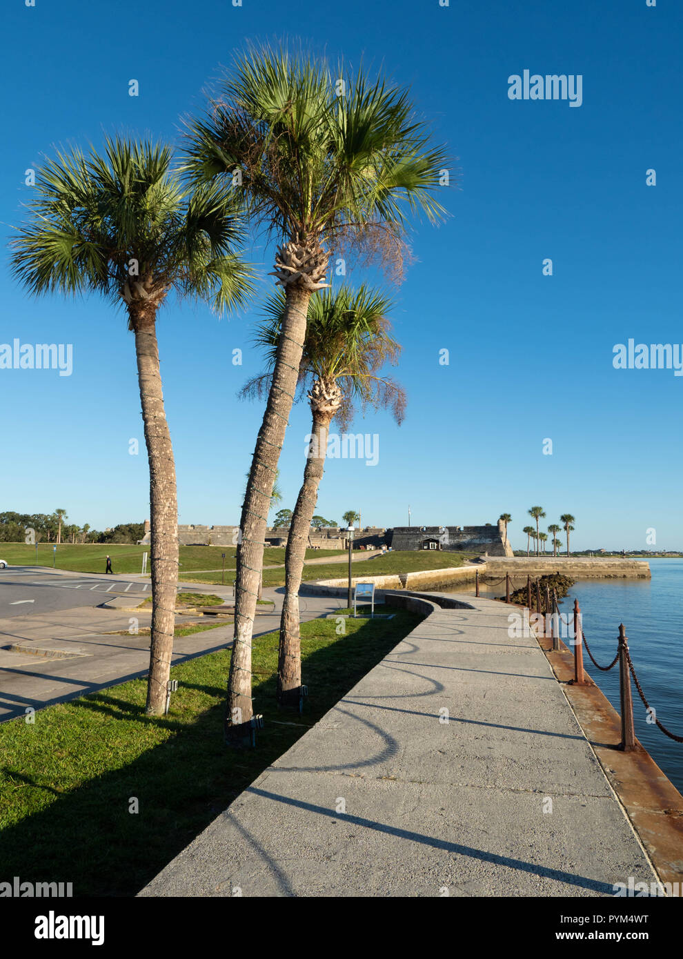 Palmen gesäumten Spaziergang am Flussufer entlang der Matanzas River in Richtung Castillo de San Marcos in St Augustine Florida USA Stockfoto
