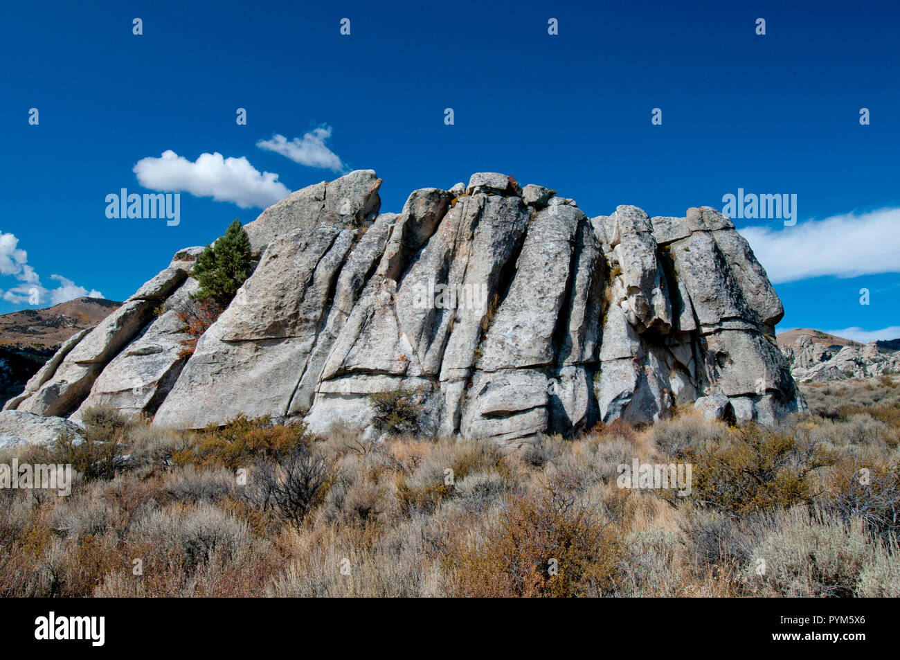 Gelenke in aufdringlich Granit der Almo Pluton in der Stadt Rocks National Reserve Idaho Stockfoto