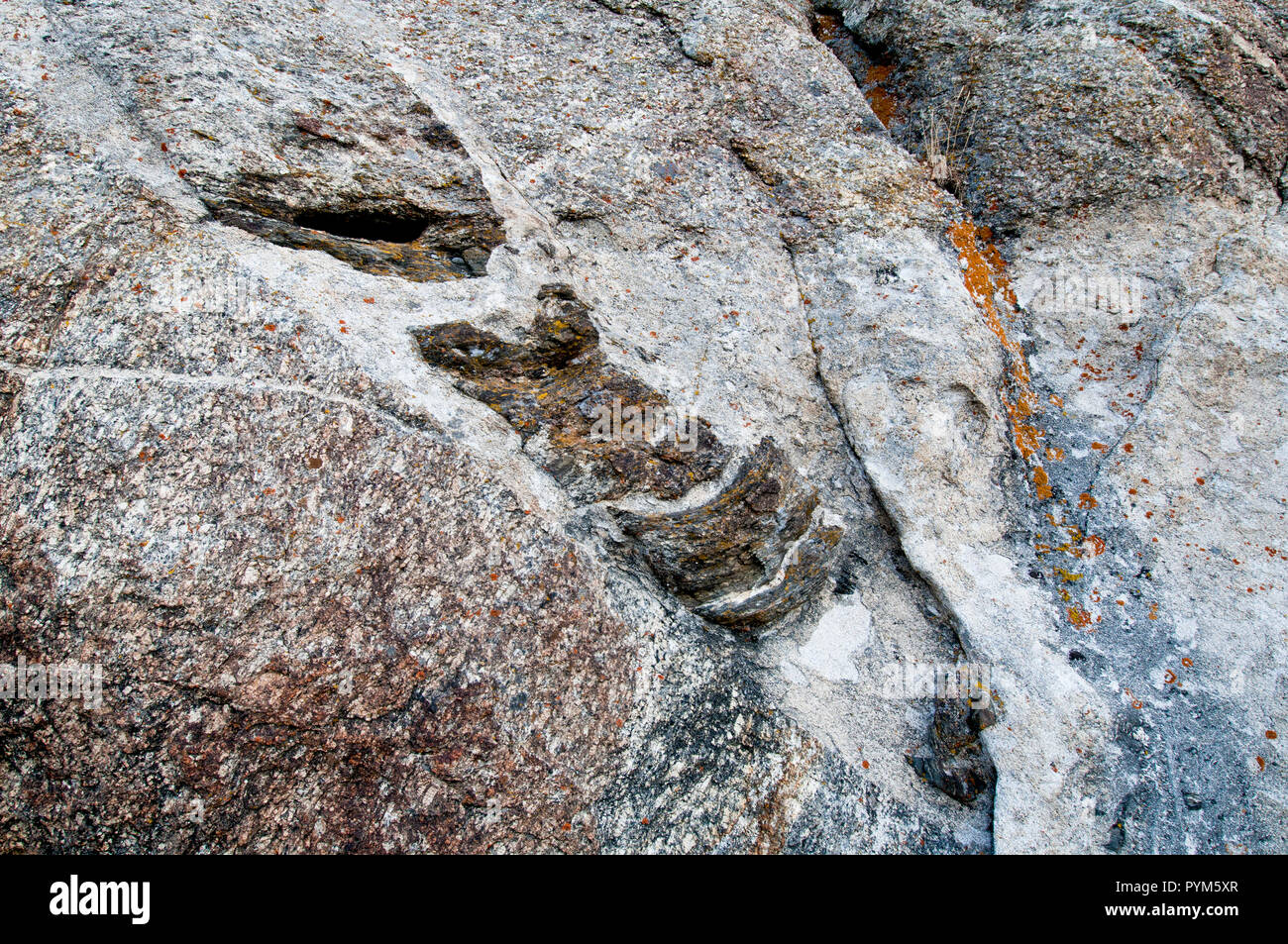 Kontakt Xenolith - Stadt der Felsen National Reserve, Idaho. Den braunen Felsen (dem xenolith, bestehend aus biotit Schiefer) in der Mitte des Bildes ist Embedded i Stockfoto
