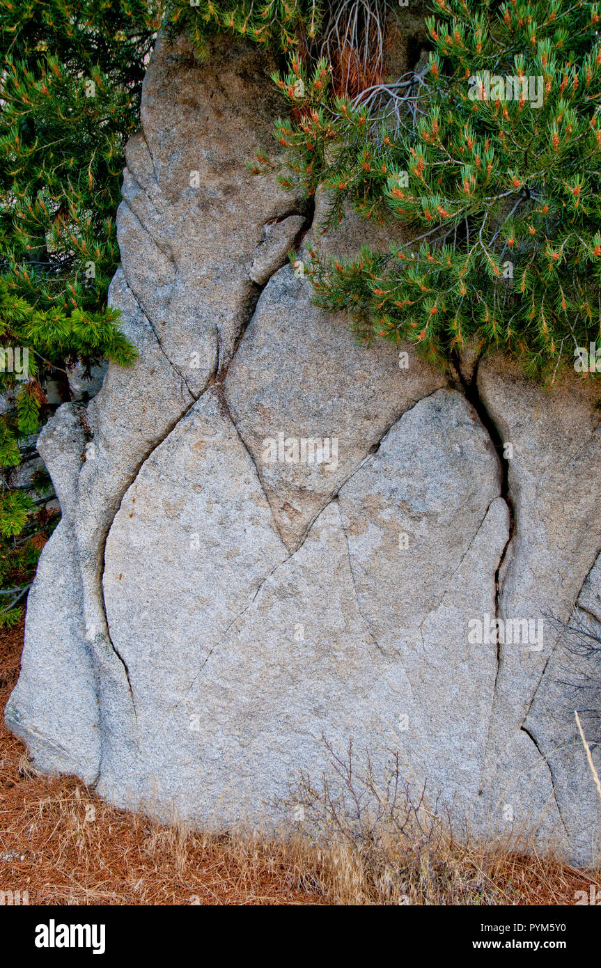 Gelenke (Risse) durch thermische Expansion/Kontraktion in Granit gebildet; Almo Pluton, Stadt der Felsen National Reserve, Idaho. Stockfoto