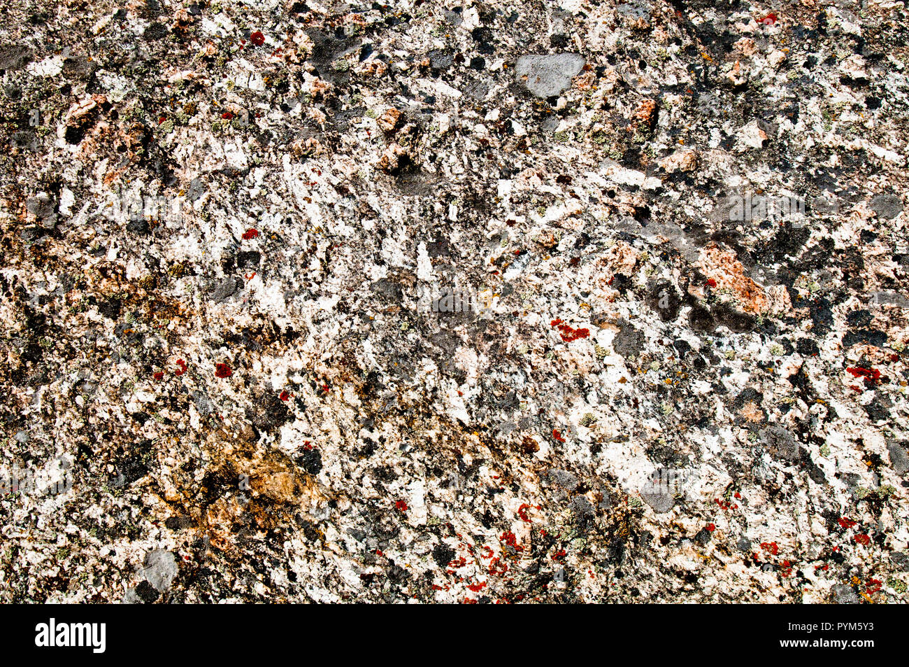 In der Nähe von Green Creek Komplexe rock (eine Assemblage aus metamorphen Gesteinen bestehend aus Granit, Granit Gneis [verwandelt], aus Granit und Schiefer) d Stockfoto