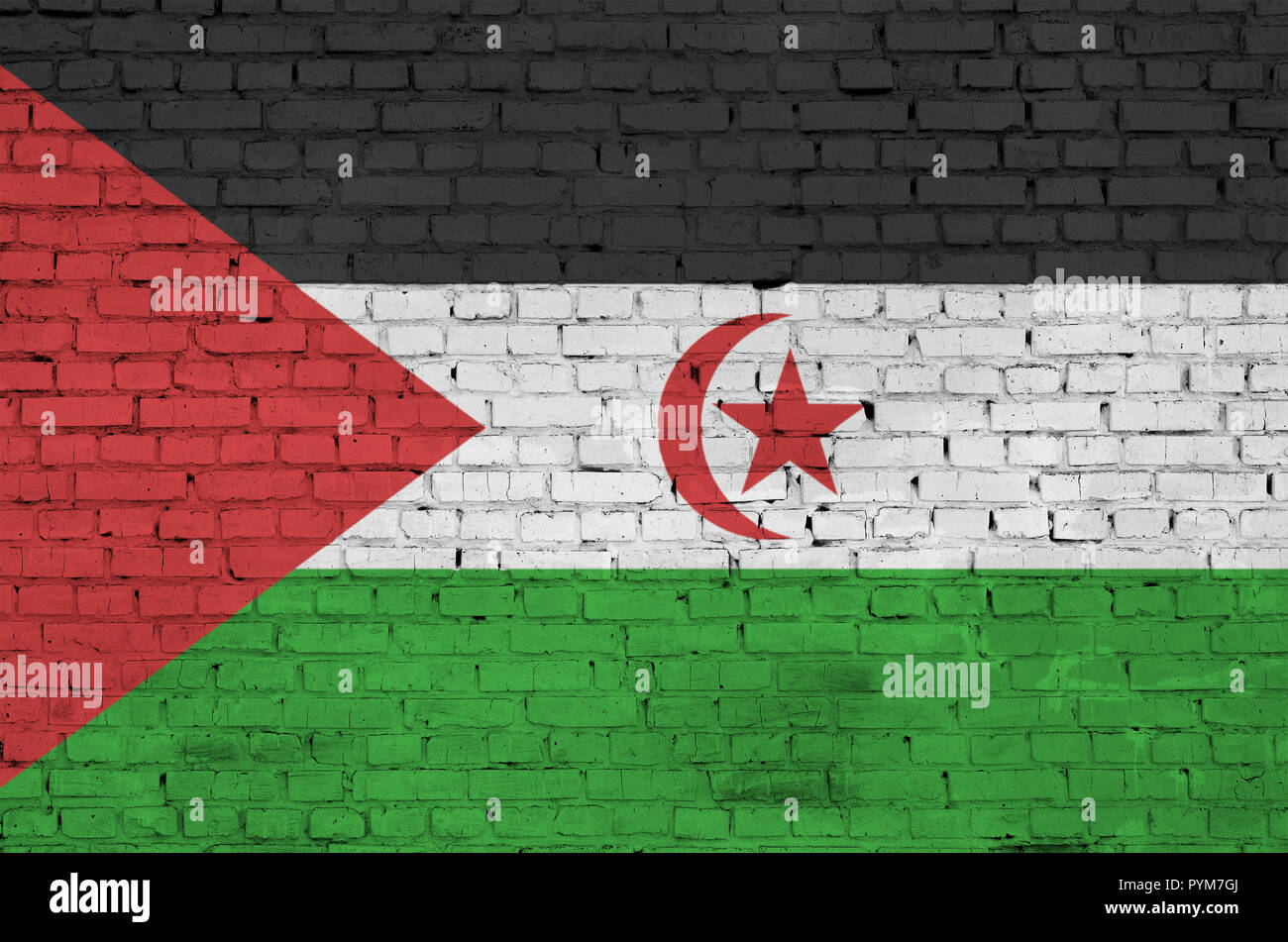 Westsahara Flagge ist auf einer alten Mauer gemalt Stockfoto
