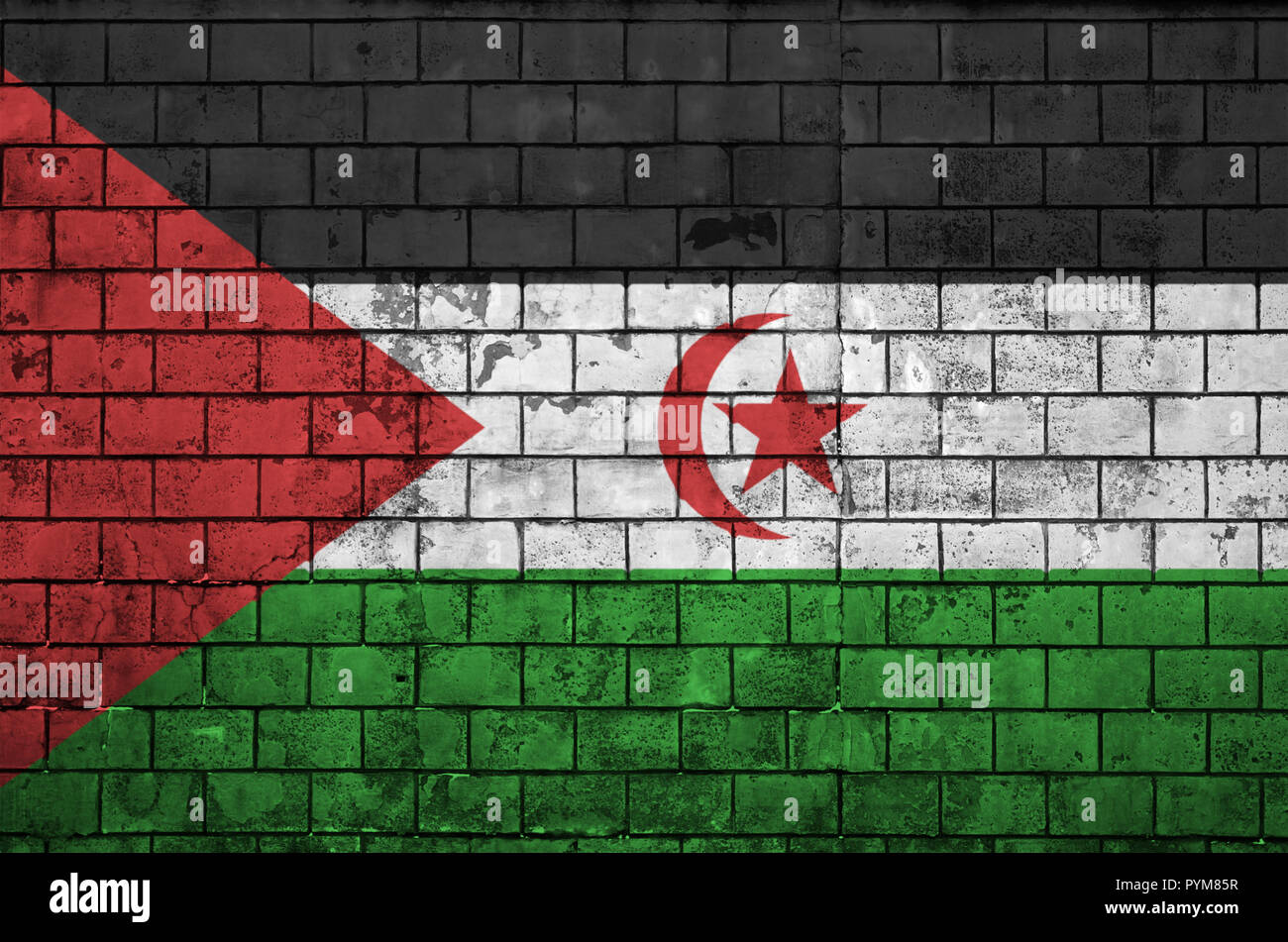 Westsahara Flagge ist auf einer alten Mauer gemalt Stockfoto