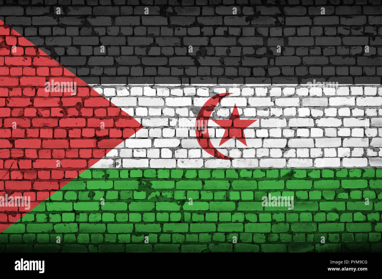 Westsahara Flagge ist auf einer alten Mauer gemalt Stockfoto