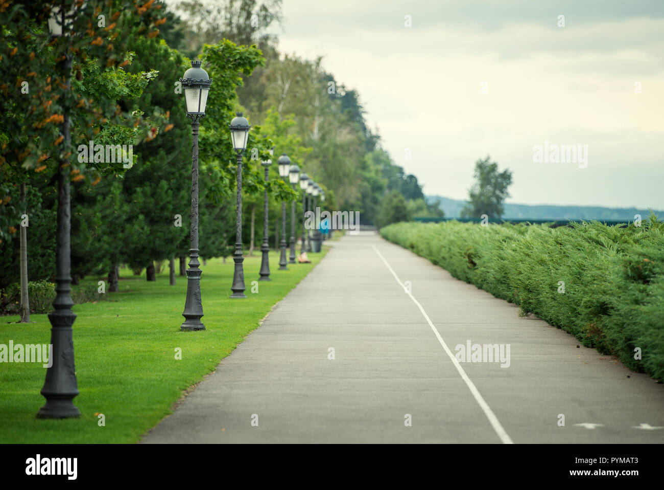Asphalt im Sommer schöner Park Stockfoto