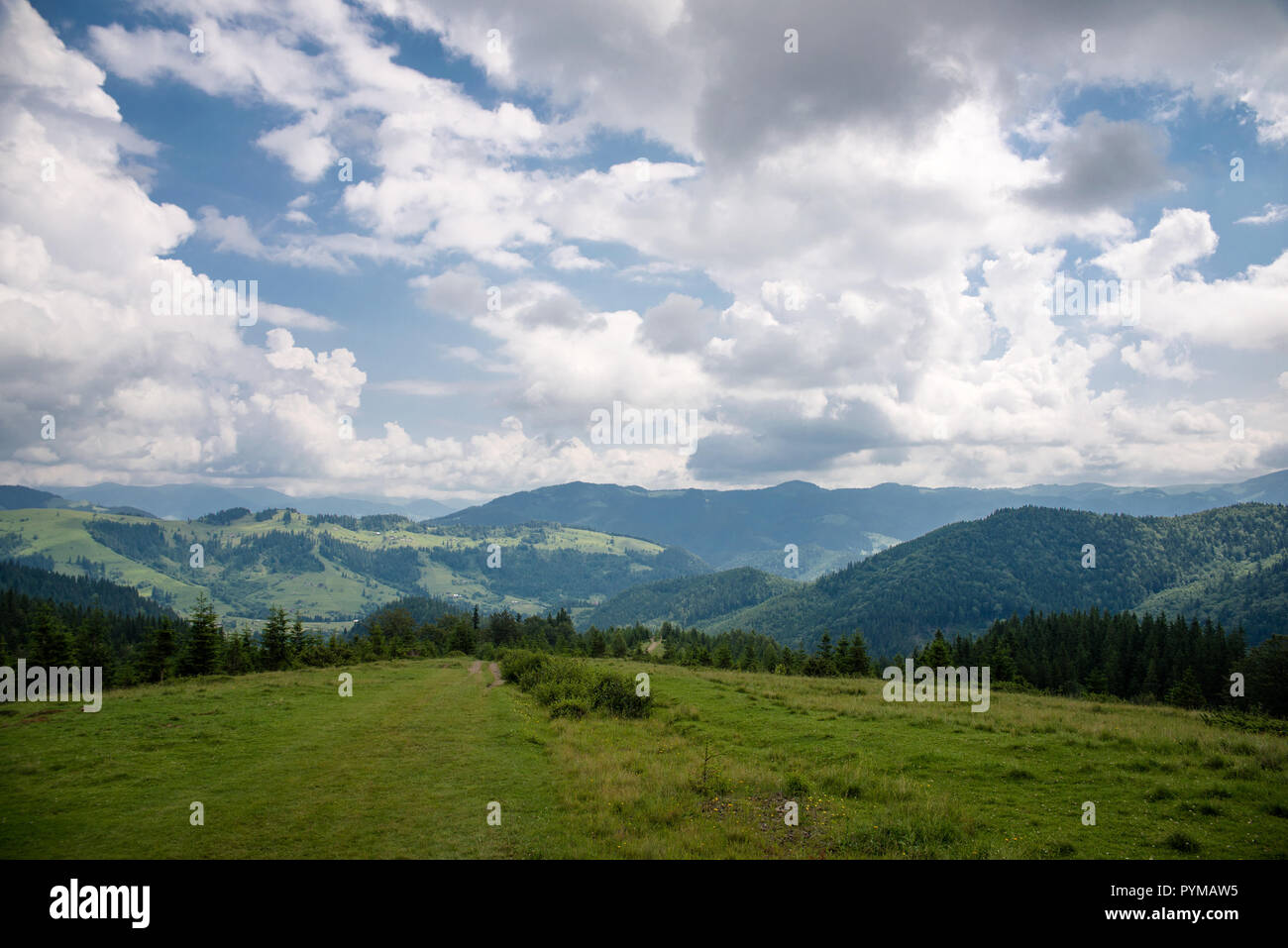 Schönen wald landschaft in den Karpaten. Stockfoto