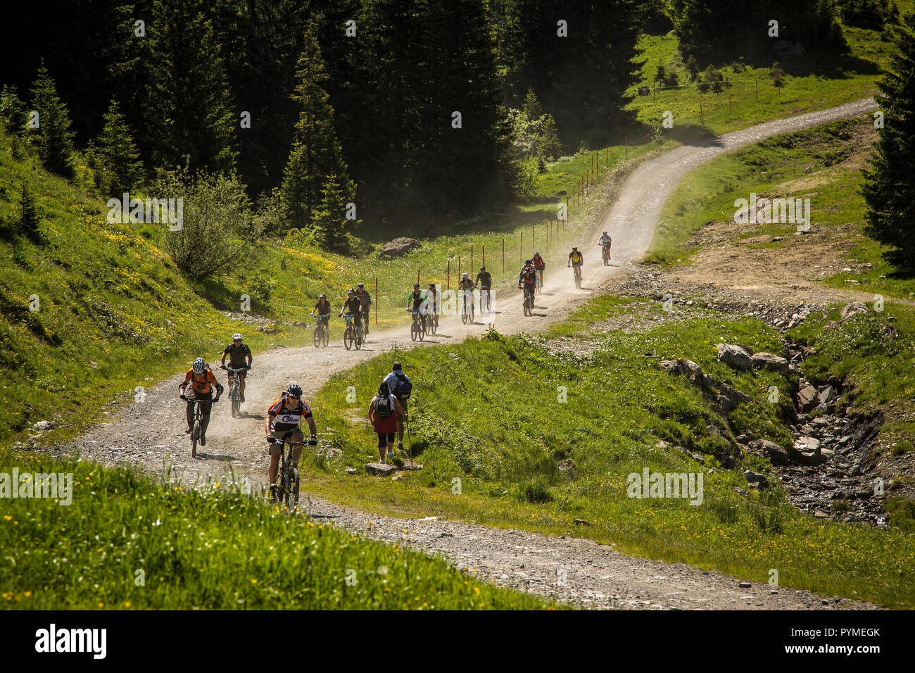 Große Gruppe von Mountainbikern Stockfoto