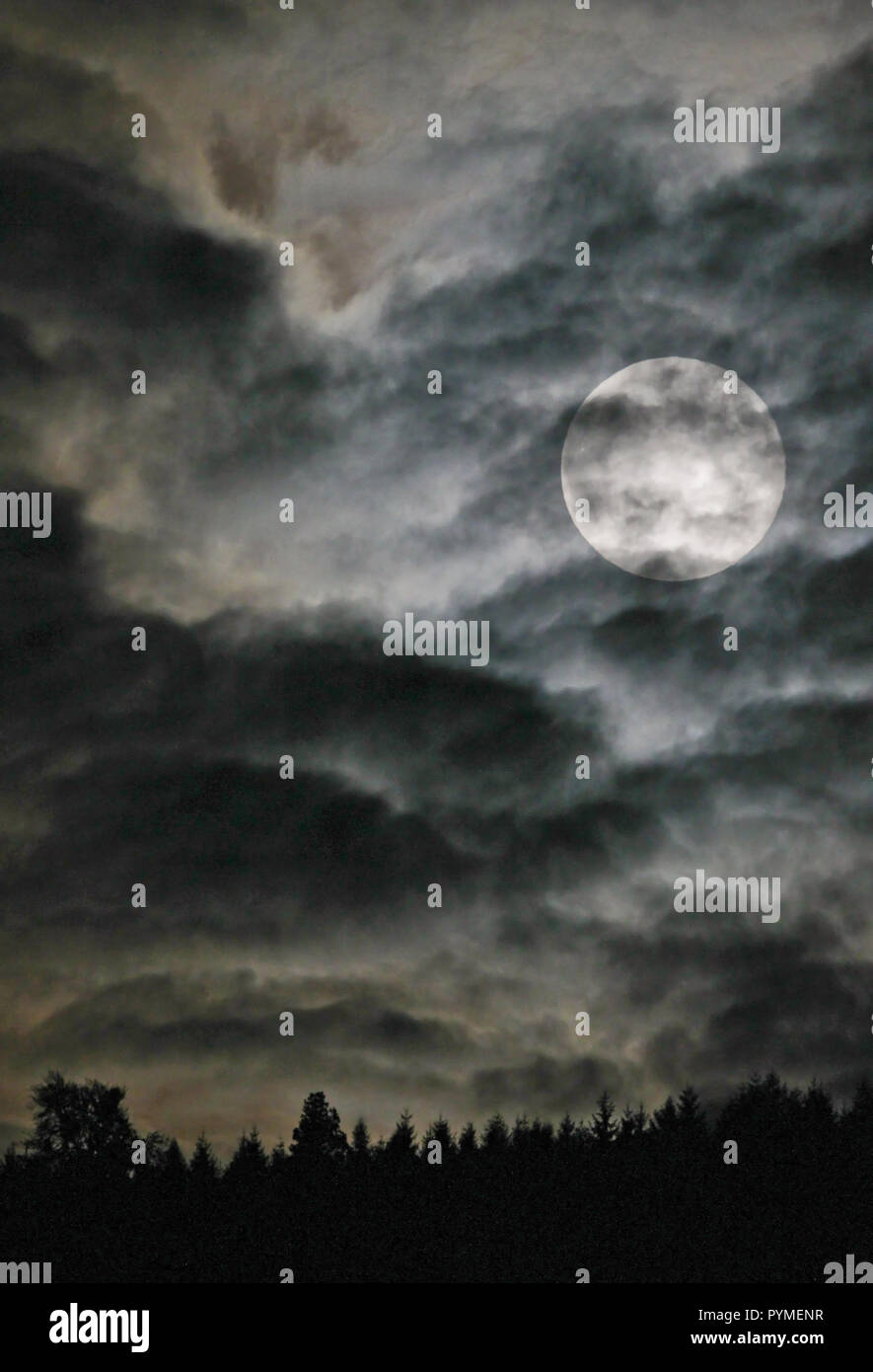 Vollmond scheint durch Wolke bedeckte Himmel über einem Wald, Heidelberg, Deutschland Stockfoto