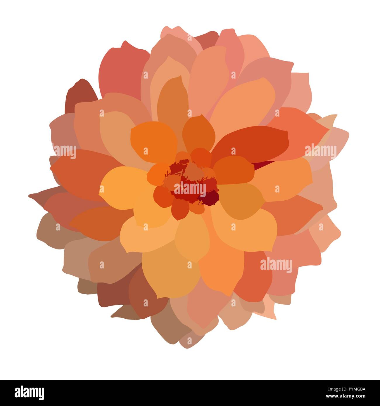 Mehrfarbig bunt Dahlie auf weißem Hintergrund. Vector Illustration Stock Vektor