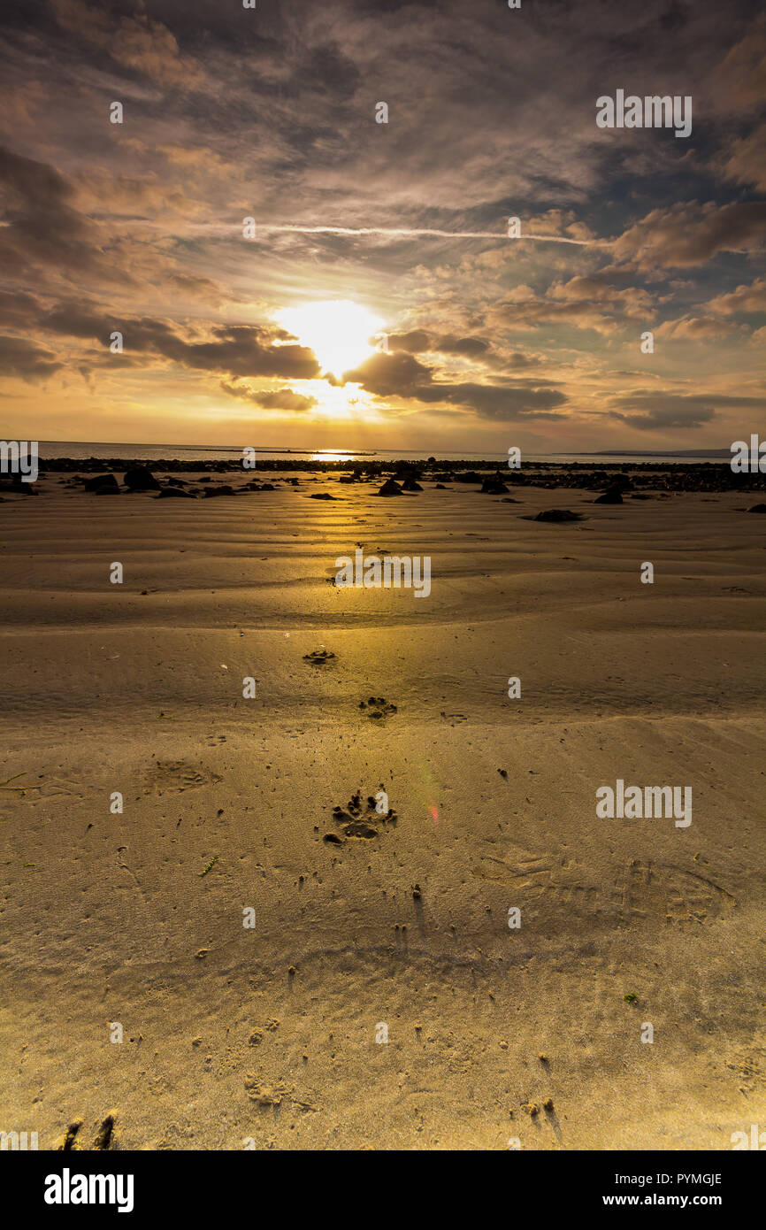 Lange Exposition der Ebbe am Strand gehen Stockfoto