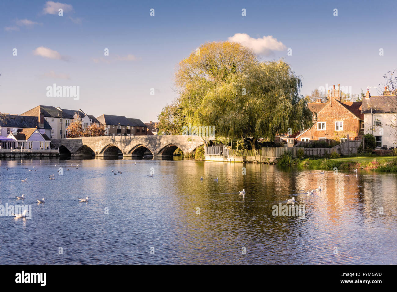 Blick über den Fluss Avon auf eine mittelalterliche Brücke aus dem 13. Jahrhundert in Fordingbridge in Hampshire an einem sonnigen Herbsttag in England, Großbritannien Stockfoto