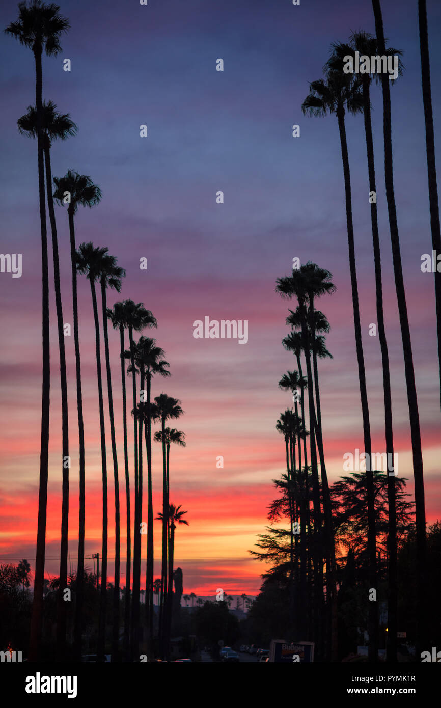 Verträumt California Sunset Stockfoto