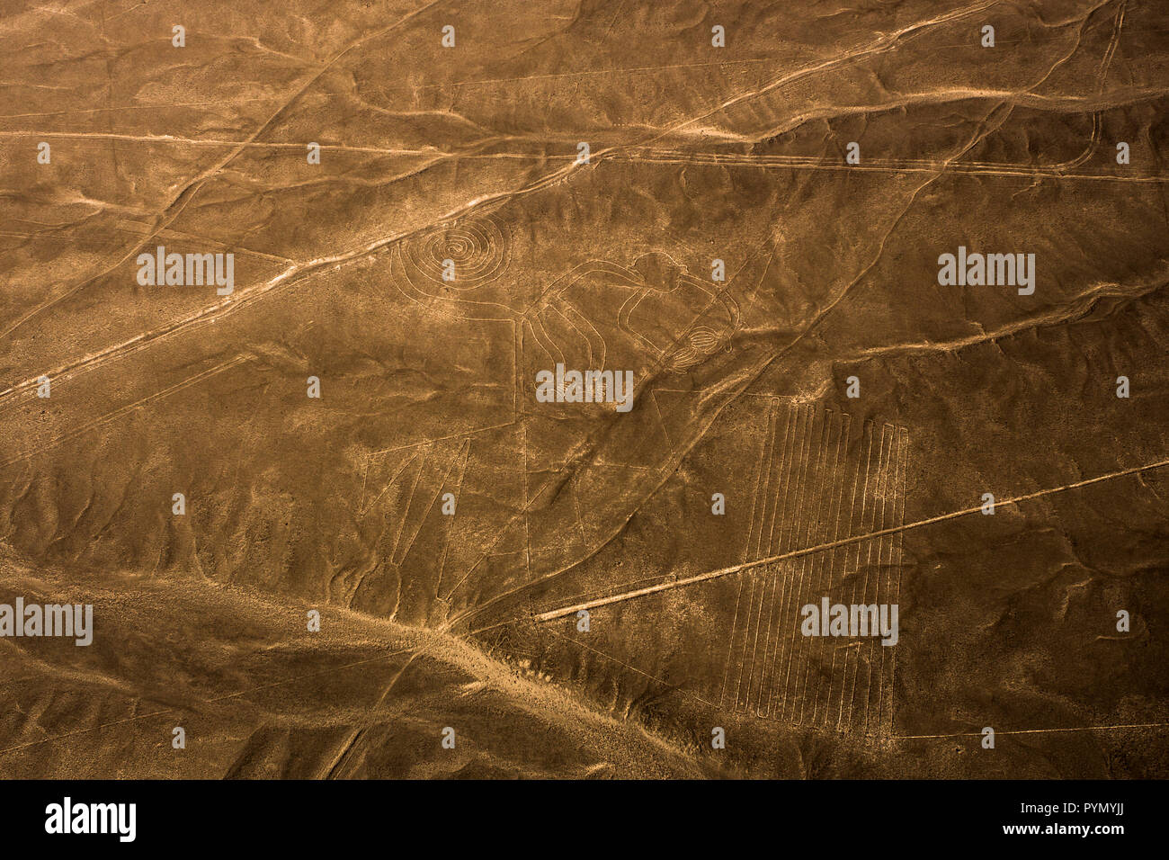 Blick von oben auf die Nazca Linien in Peru, Nazca, Innenarchitektur Stockfoto