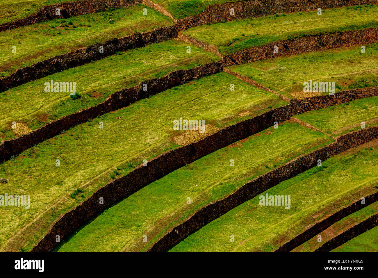 Altertümliche Anbaumethode der Inka für Lebensmittel, Terrassen, in Peru, Archäologie Stockfoto