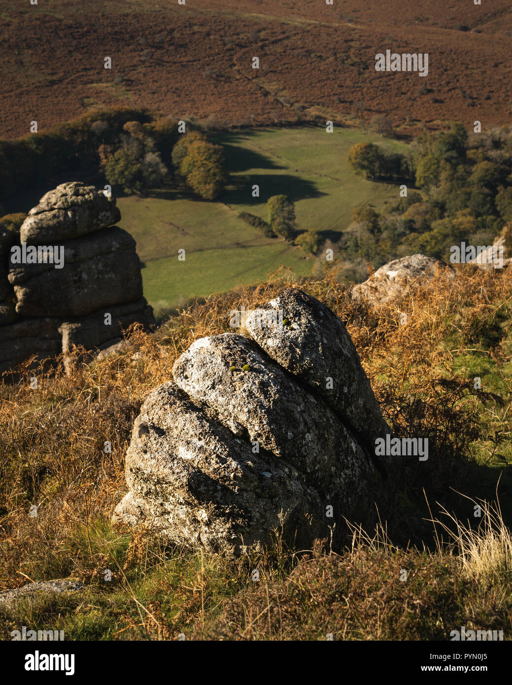 Granit Felsen im Nationalpark Dartmoor, Devon, Südwest-England, Vereinigtes Königreich. Stockfoto
