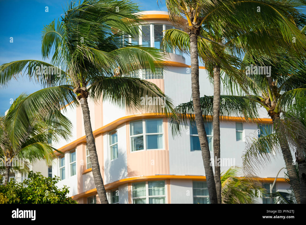 Palmen blasen vor der klassischen Art déco-Architektur in South Beach, Miami, Florida, USA Stockfoto
