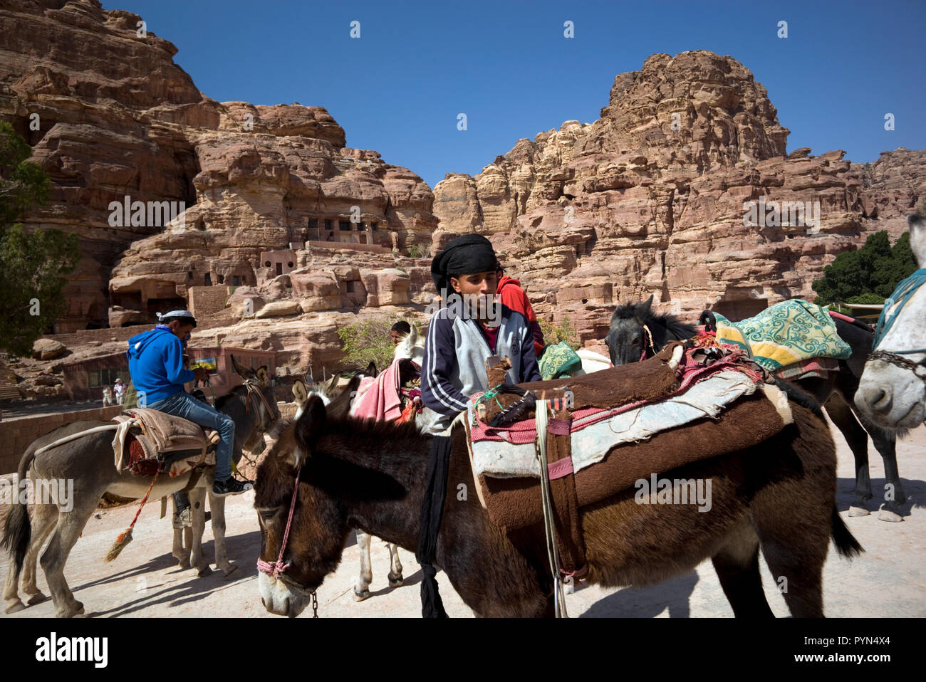 Bedouin Männer und Jungen neigen dazu, ihre Esel, Pferde und Kamele, Fahrten für Touristen in der Petra Archäologischen Park zu bieten, in Jordanien am 29. Oktober 2018 Stockfoto