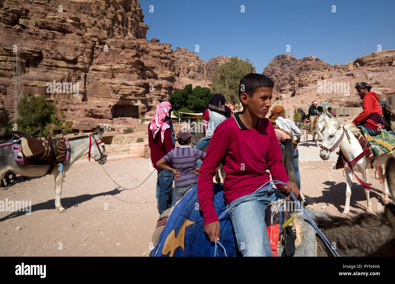 Bedouin Männer und Jungen neigen dazu, ihre Esel, Pferde und Kamele, Fahrten für Touristen in der Petra Archäologischen Park zu bieten, in Jordanien am 29. Oktober 2018 Stockfoto