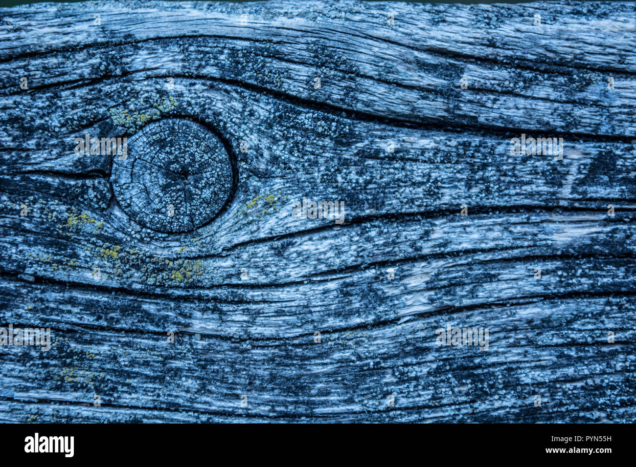Blau realistische alte Holz Texturen Stockfoto