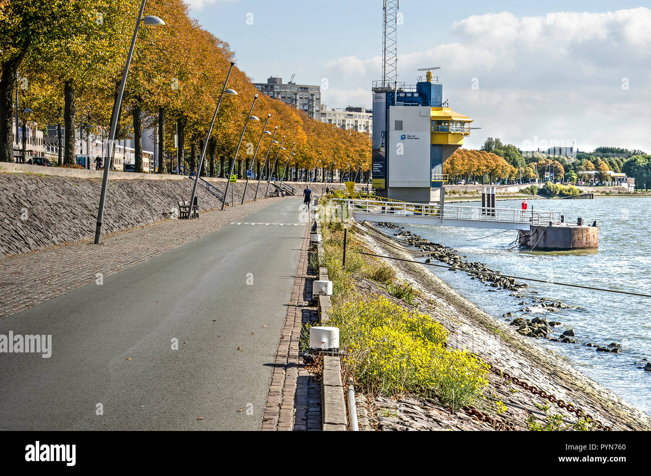 Rotterdam, Niederlande, 30. September 2018: von Bäumen gesäumten Promenade entlang des Flusses Nieuwe Maas im Herbst Stockfoto