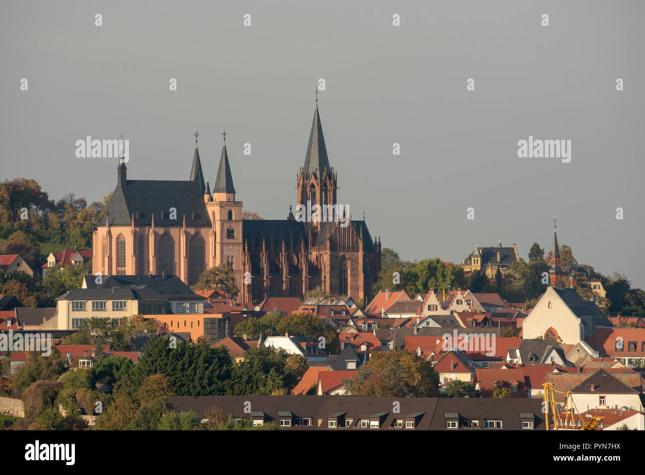 Oppenheim, Katharinenkirche, Fernsicht von Süden Stockfoto