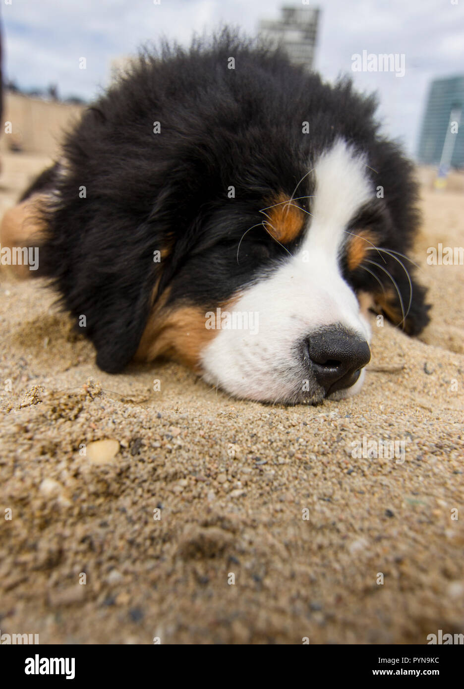 Schönes Foto Stockfoto