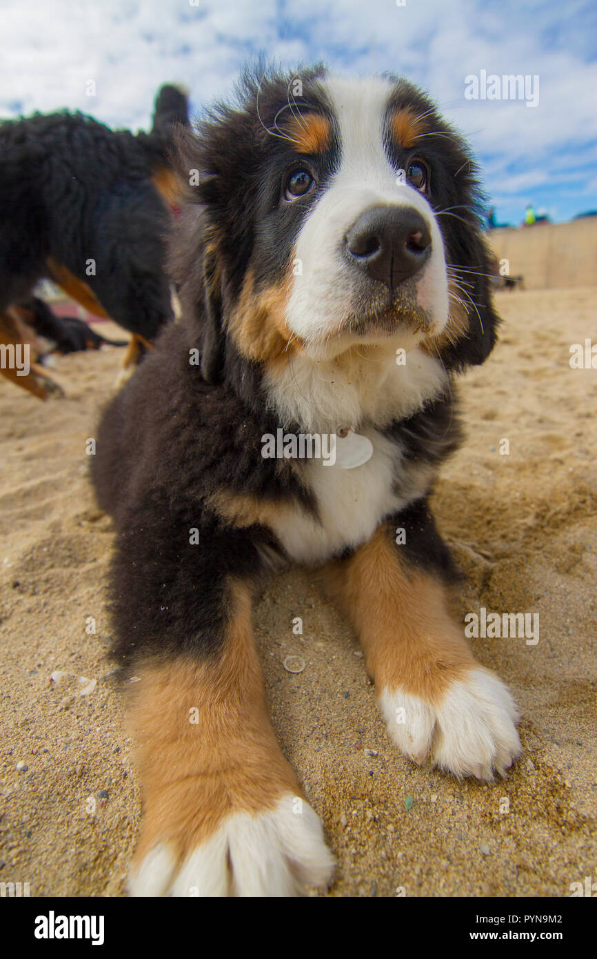 Schönes Foto Stockfoto