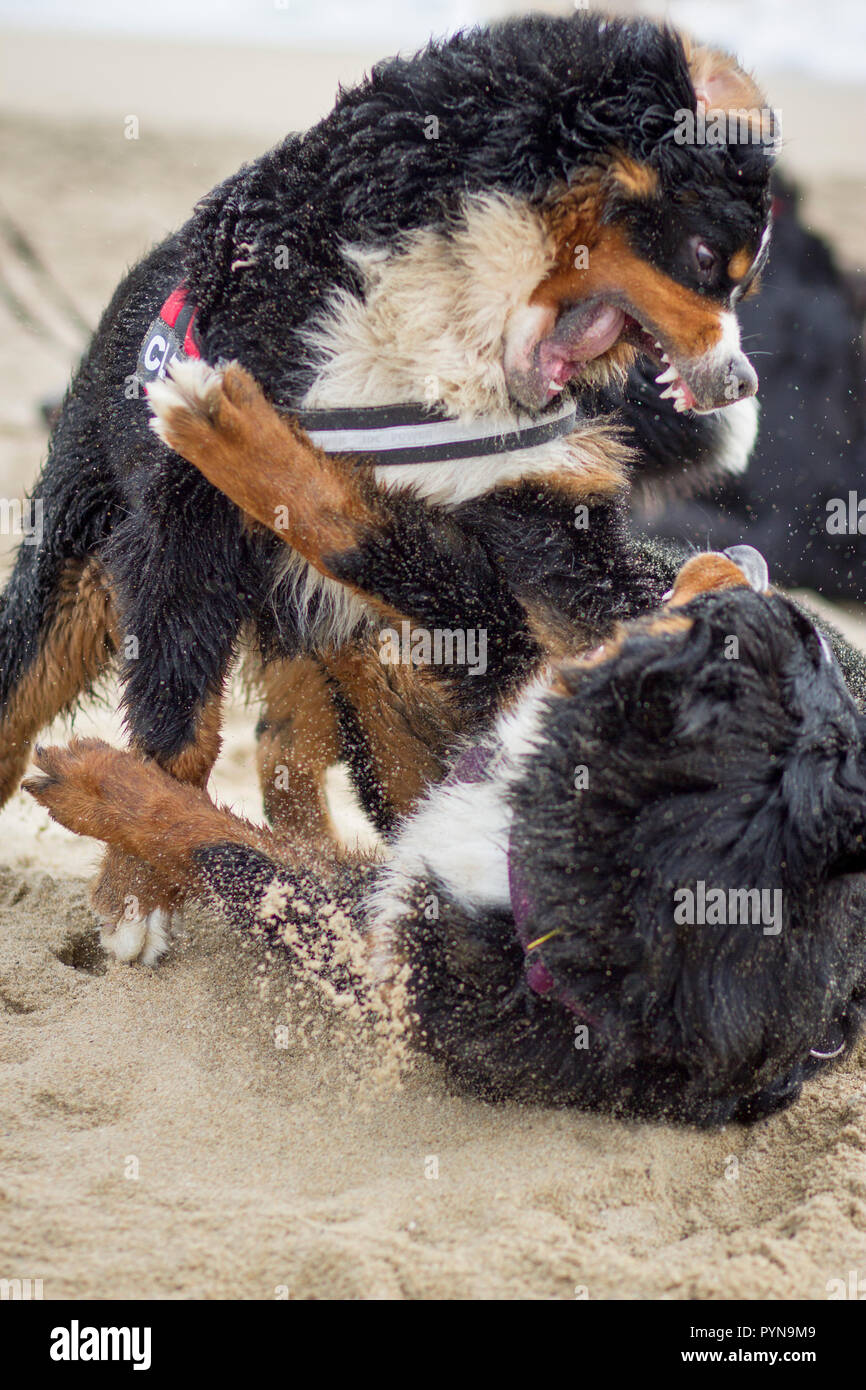 Schönes Foto Stockfoto