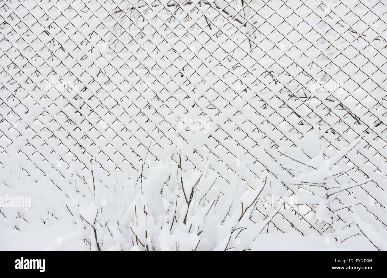Close-up Muster von vielen Zellen der Chain-link Fence, die mit hellen, weißen Frische snowin Licht im Winter morgens bedeckt sind. Stockfoto