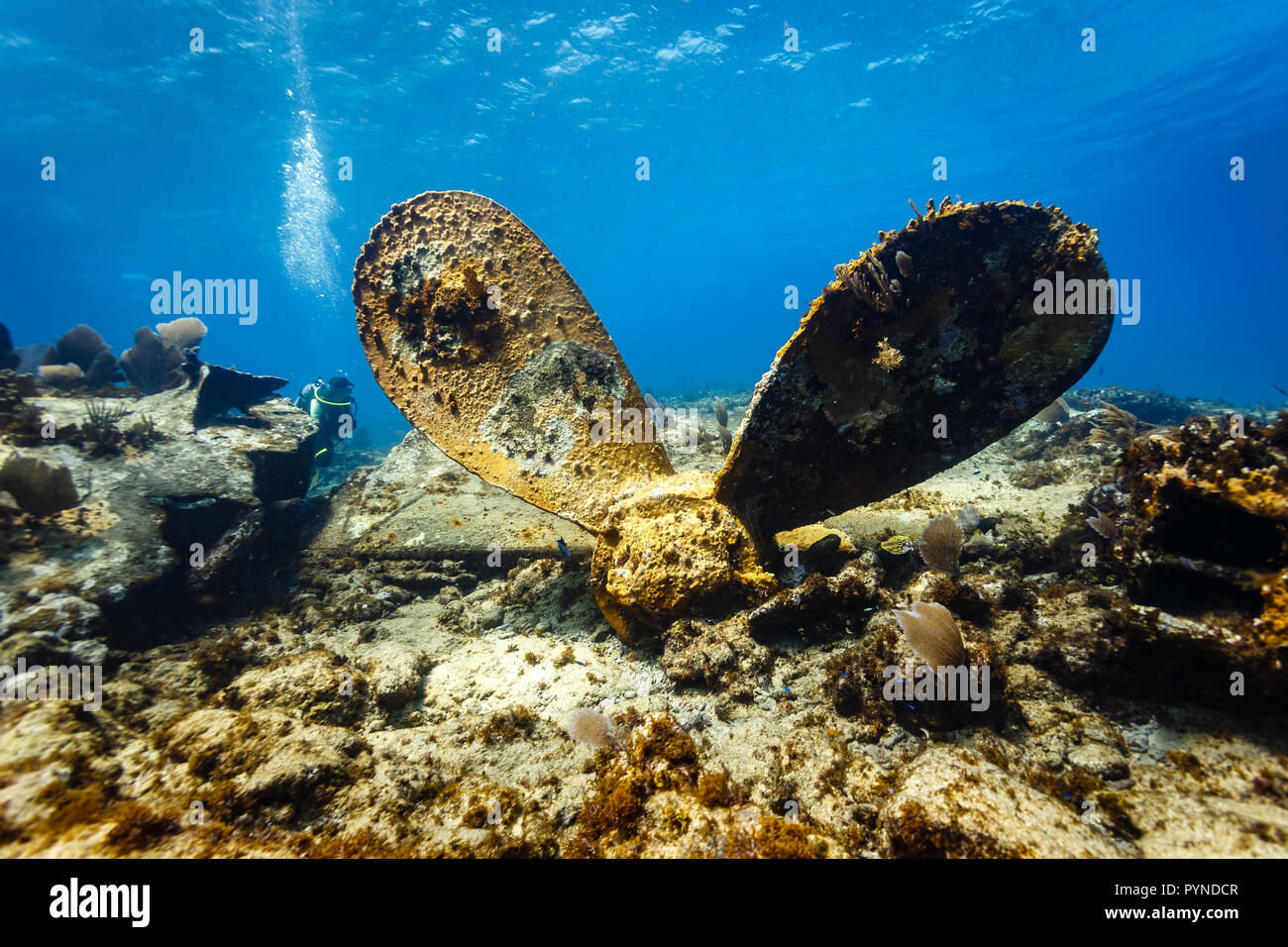 Riesiger Propeller des Frachtschiffes Schiffbruch, um die späten 1800er Jahre, eingebettet in Korallenriff. Stockfoto