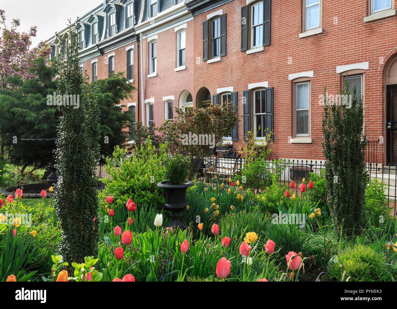 St Albans Street in der Graduierten Krankenhaus Nachbarschaft in South Philadelphia, Pennsylvania, USA Stockfoto